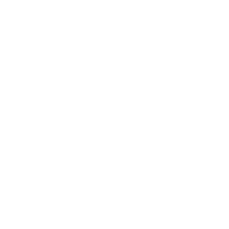 44SHOES 44-icone-branco.png